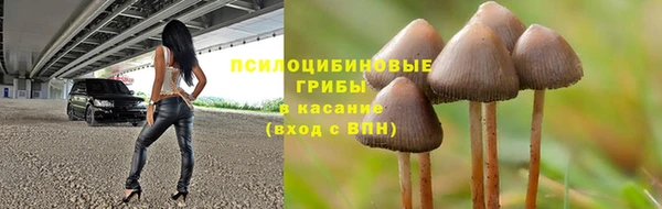 дурь Абдулино