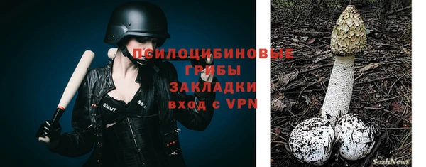 дмт Пролетарск