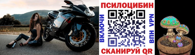 Псилоцибиновые грибы мицелий Камышлов