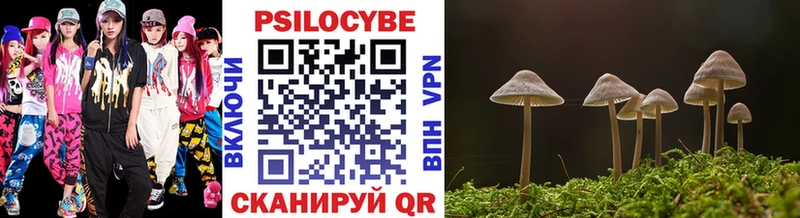 Псилоцибиновые грибы Cubensis  Камышлов 