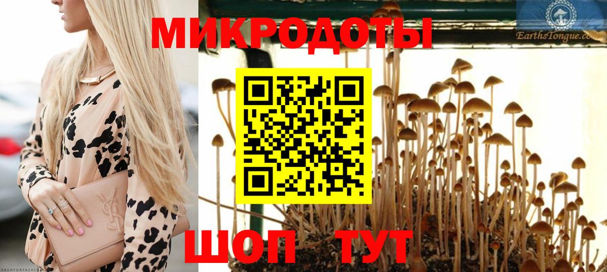 что такое наркотик  Галлюциногенные грибы Psilocybe  Вход с VPN  Камышлов 